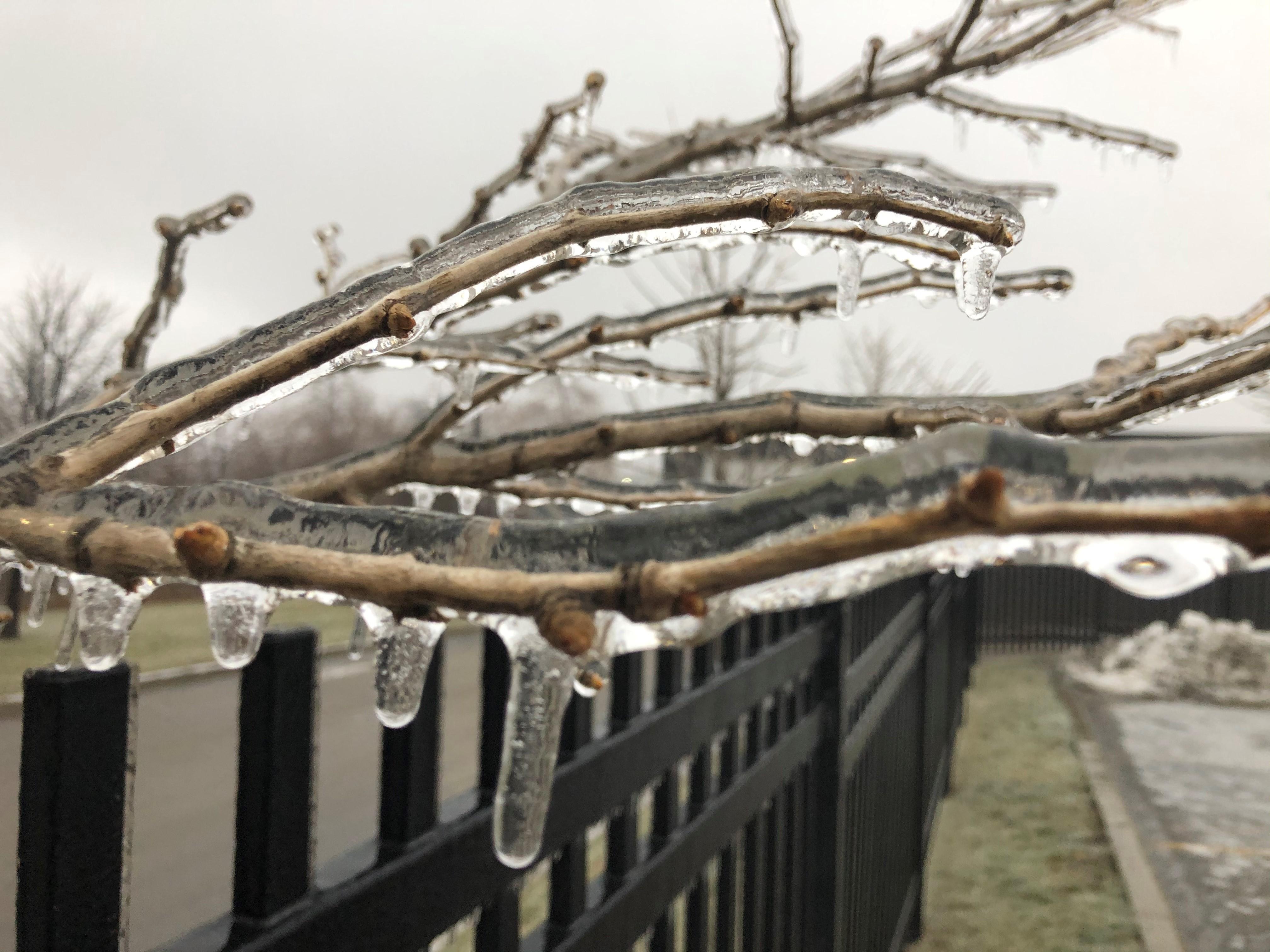 Freezing rain stalls services, causes closures in Kingston ...